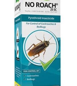 No Roach