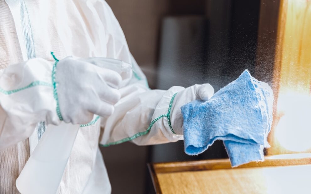 professional cleaning service