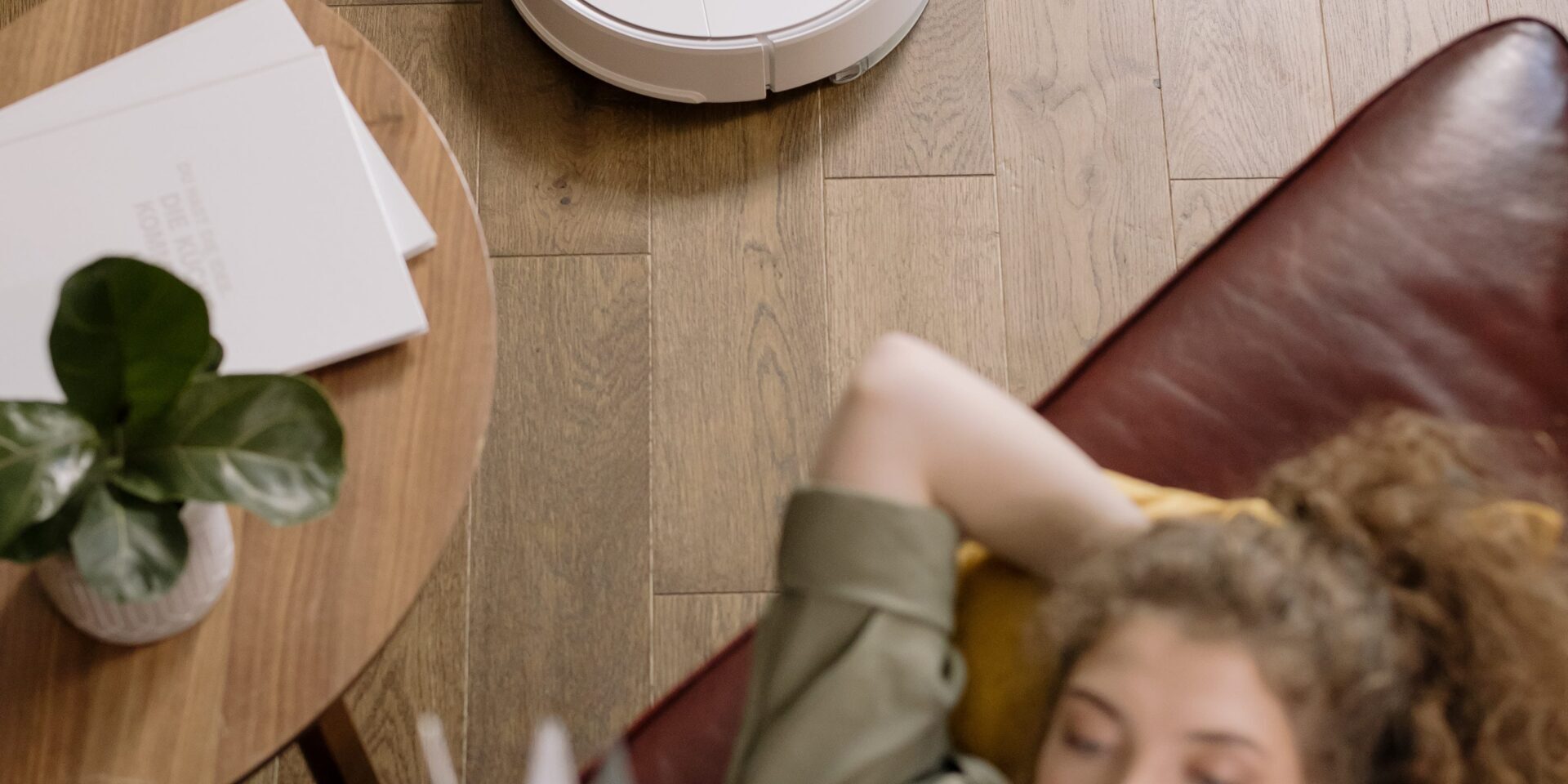 robotic cleaners