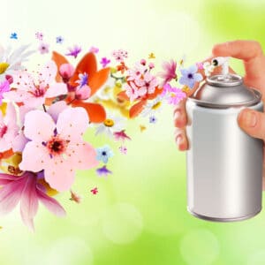 Air Freshners