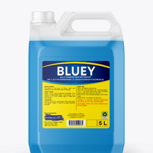 Bluey