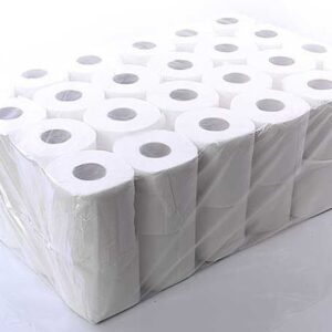 toilet paper r500 1-ply (N)