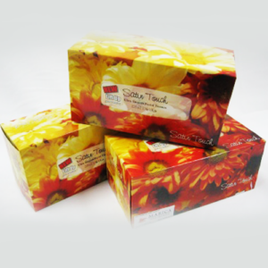 Facial tissues 200's
