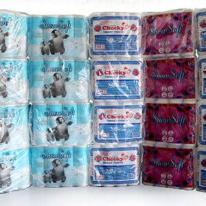 Toilet-Paper-300x300