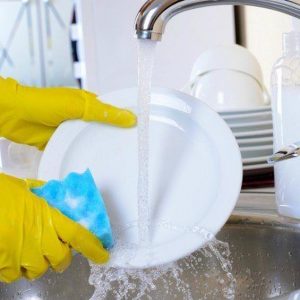 Dishwashing Cleaners